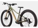 Dětské kolo CANNONDALE KIDS TRAIL PLUS 24", mantis