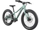 Dětské kolo CANNONDALE KIDS TRAIL PLUS 20"