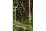 Celoodpružené kolo GHOST Riot Trail CF 150/140 Pro