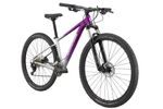 Dámské horské kolo Cannondale C-Dale Trail 29" SL 4 Women - Stříbrná / Fialová