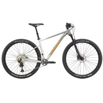 Pánské horské kolo Cannondale Trail SL 1 29" - Šedá / Stříbrná