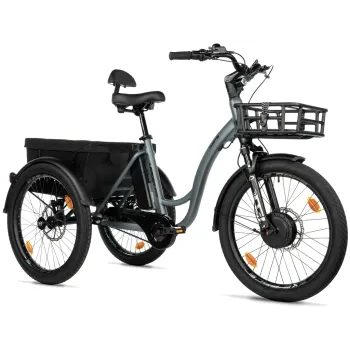 Leader fox CARGO - TRICYCLE CURTIS, FRONT MOTOR, GREY MATT
