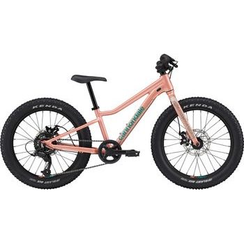 Dětské kolo CANNONDALE KIDS TRAIL PLUS 20"