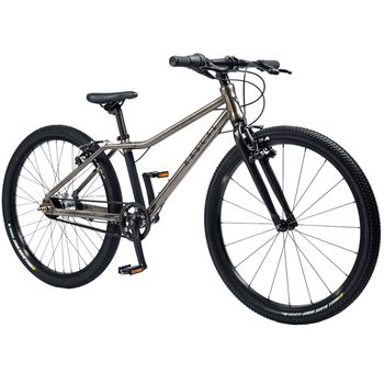 Dětské kolo Rascal 24" - Titanium/Titanová