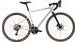 Gravel kolo CANNONDALE TOPSTONE 1, mercury