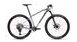 Pánské horské kolo MAXBIKE Akka 29" Stříbrno/černý 2025
