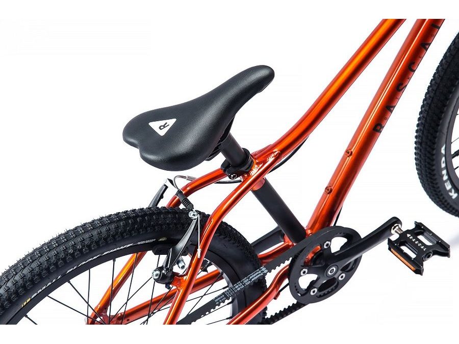 Dětské kolo Rascal 20" AQUAMARINE modrá 2025