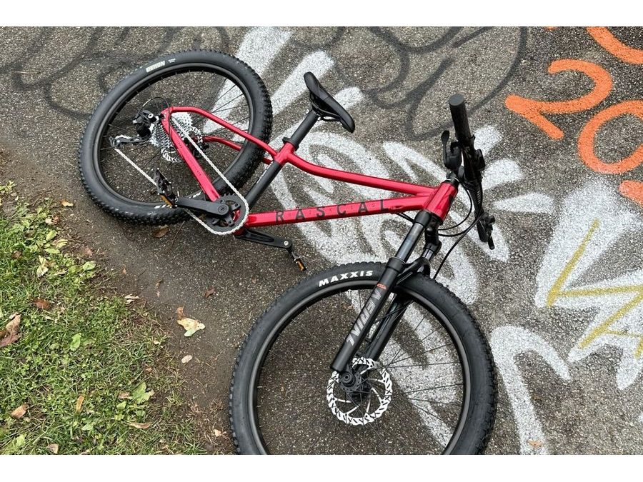 Dětské kolo Rascal Wild 26" červená 2025