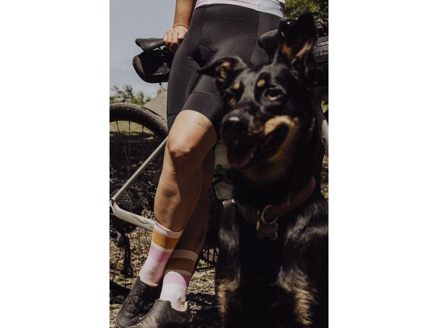 Dlouhé ponožky FORCE STRIPE, fialové