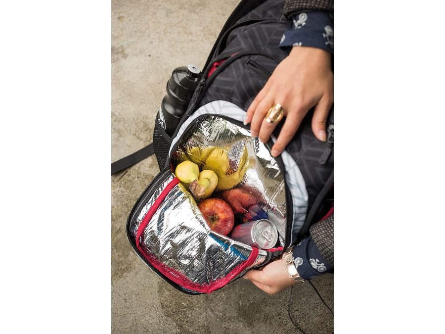 Batoh NITRO STASH 29 checker