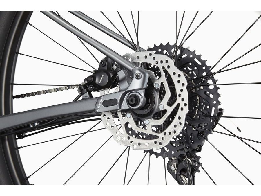 Pánské horské kolo CANNONDALE TRAIL 29" SL 4, black - gray