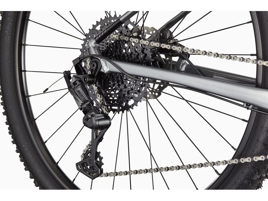 Pánské horské kolo CANNONDALE TRAIL 29" SL 4, black - gray