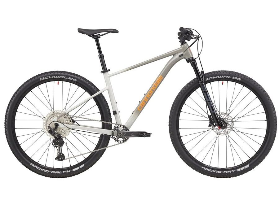 Pánské horské kolo Cannondale Trail SL 1 29" - Šedá / Stříbrná