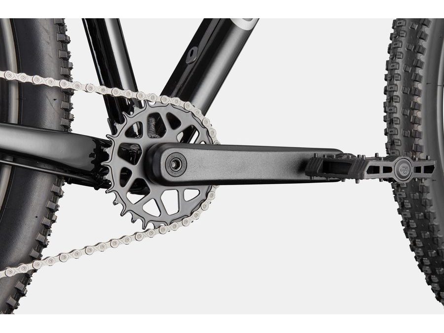 Pánské horské kolo CANNONDALE TRAIL 2