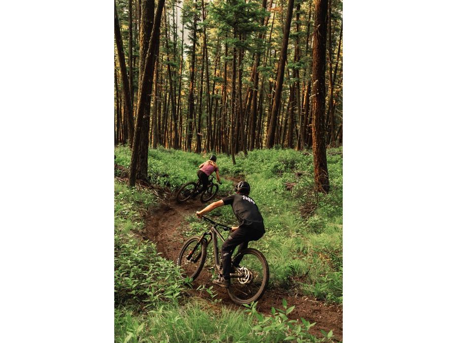 Celoodpružené kolo GHOST Riot Trail CF 150/140 Full Party