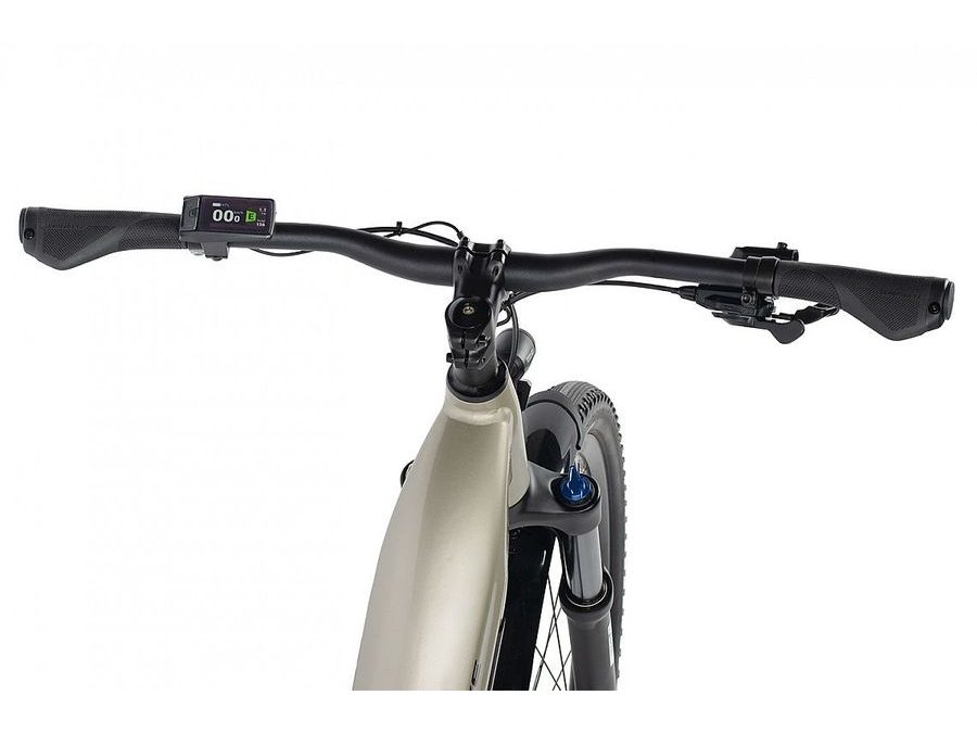 SUW Elektrokolo MAXBIKE FRIDA sandstone