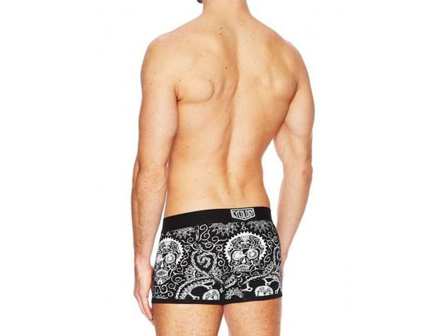 Boxerky Cycology Day of the Living Boxers (šedá) vel.M