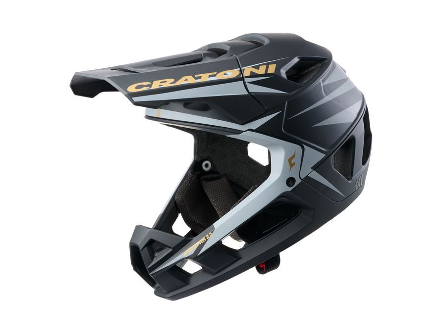 Interceptor 2.0 black-gold matt