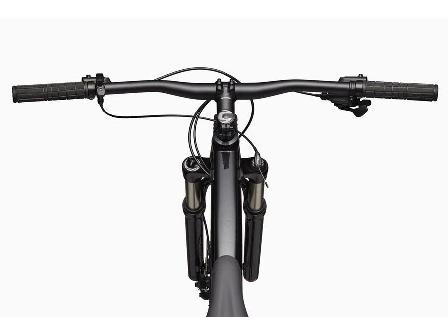 Pánské horské kolo CANNONDALE TRAIL 29" SL 4, black - gray