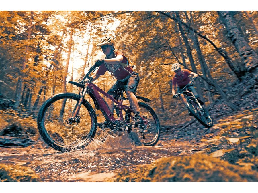 Sada blatníků SKS Blade 29/27.5+ Black