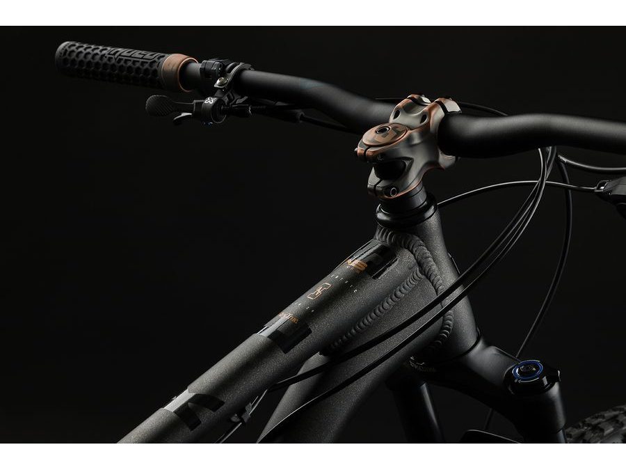 Pánské horské kolo NS Bikes ECCENTRIC ALU 29 2023