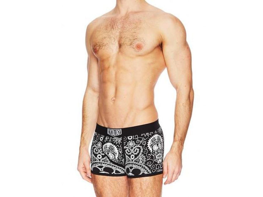 Boxerky Cycology Day of the Living Boxers (šedá) vel.M