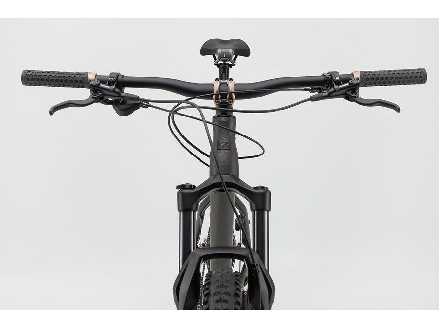 Pánské horské kolo NS Bikes ECCENTRIC ALU 29 2023