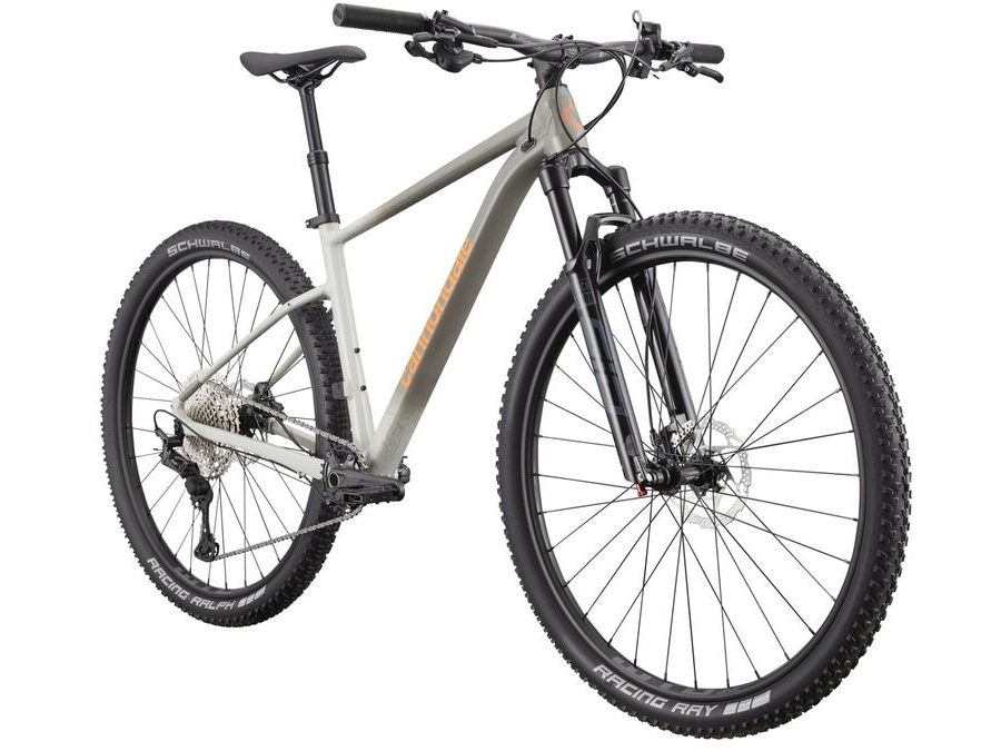 Pánské horské kolo Cannondale Trail SL 1 29" - Šedá / Stříbrná