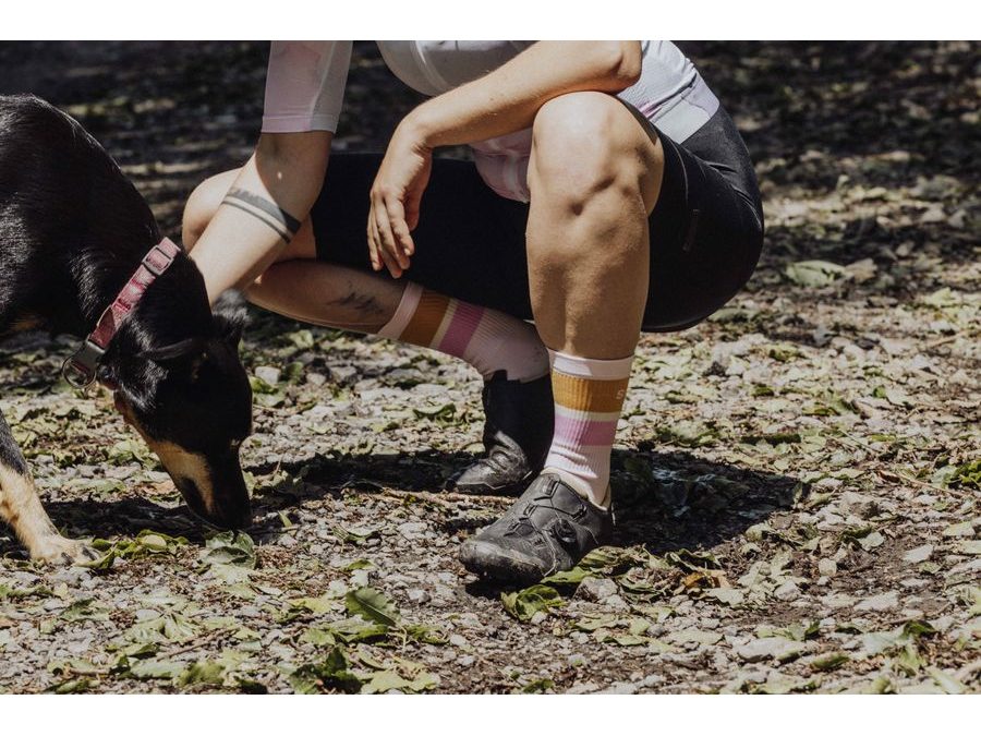 Dlouhé ponožky FORCE STRIPE, fialové