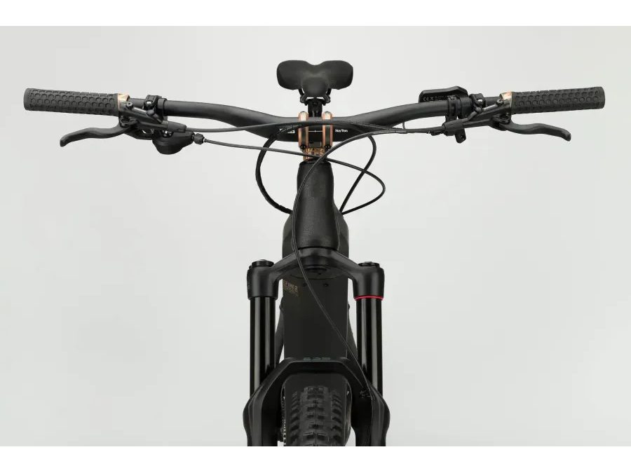Celoodpružené elektrokolo NS Bike E-fine 2 L - Půjčovna