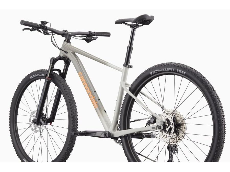 Pánské horské kolo Cannondale Trail SL 1 29" - Šedá / Stříbrná