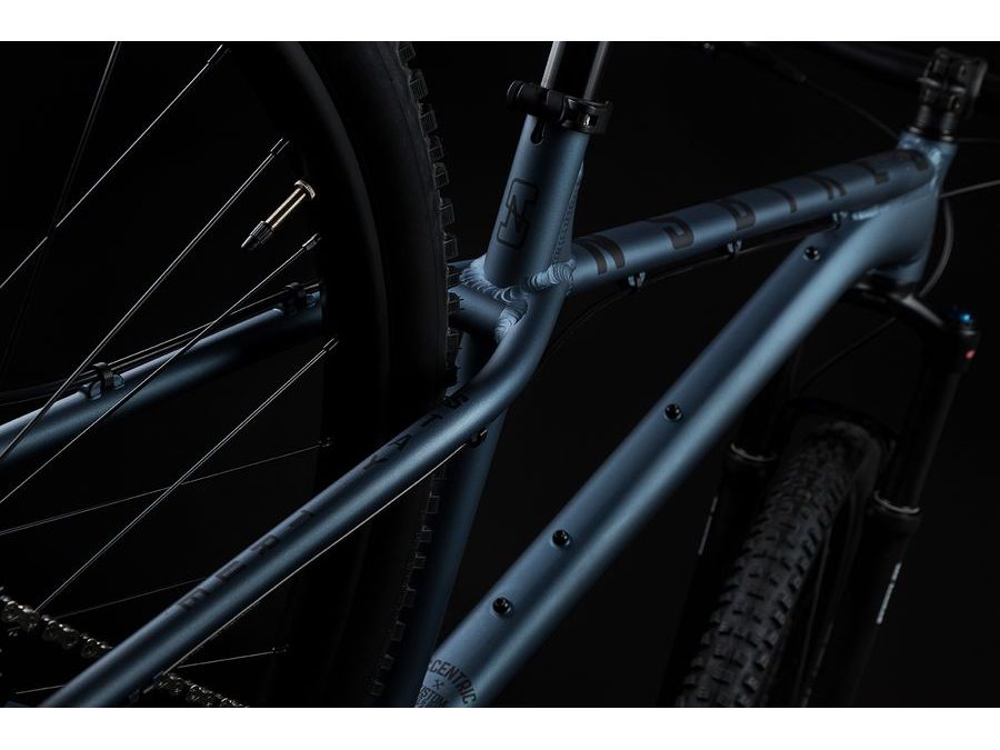 Pánské horské kolo NS Bikes ECCENTRIC LITE 2 29 Sharkskin