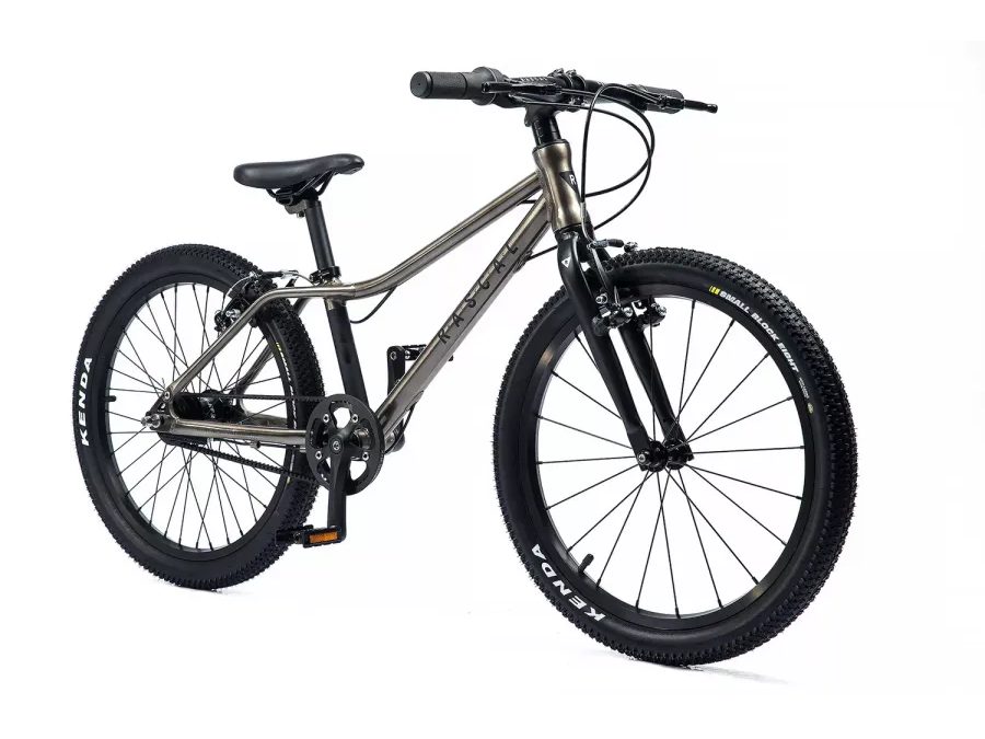 Dětské kolo Rascal 20" TITANIUM transparentní 2025