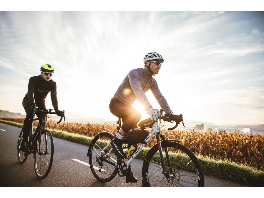 Pánská bunda FORCE ARROW softshell, šedá