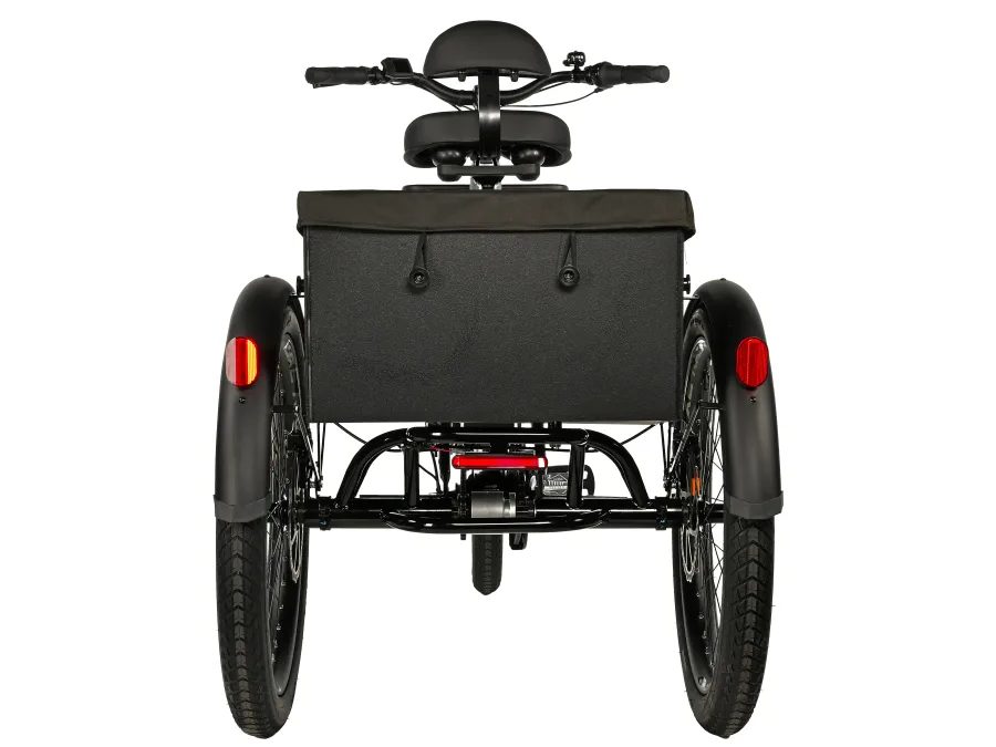 Leader fox CARGO - TRICYCLE CURTIS, FRONT MOTOR, GREY MATT