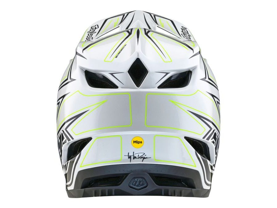 Integrální helma Troy Lee Designs D4 COMPOSITE MIPS PINNED LIGHT GRAY 2024