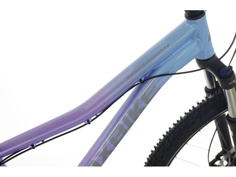 Dámské horské kolo Maxbike Taal Lady 29" - Fialový 2025