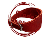 KOŽENÝ OBOJOK VIPET - ČERVENÁ - OBOJKY PRE PSOV