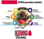 KONG PUPPY GRANÁT M - HRAČKY PRE PSOV