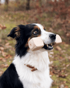 APORTOVACIA ČINKA, DREVENÁ - PRÍRODNÁ - HRAČKY PRE PSOV