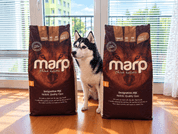 MARP HOLISTIC CHICKEN - KURACIE BEZ OBILNÍN 17KG - GRANULE PRE ŠTĚŇATÁ