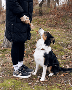 APORTOVACIA ČINKA, DREVENÁ - PRÍRODNÁ - HRAČKY PRE PSOV