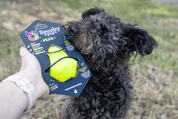 SPUNKY PUP HRUŠKA NA MAŠKRTY 7CM - HRAČKY PRE PSOV