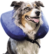 NOBBY GOLIER OCHRANNÝ NAFUKOVACIE 34,5-41 CM - BEZPEČNOSŤ