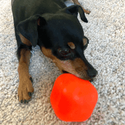 RUFF DAWG NEZNIČITEĽNÁ HRAČKA PRE PSOV KOCKA 6,35CM - HRAČKY PRE PSOV