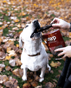 MARP TREATS BUFFALO TAIL - SUŠENÝ CHVOST 150G - MAŠKRTY PRE PSOV