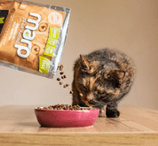 MARP HOLISTIC - CHICKEN CAT -  KURACIE BEZ OBILNÍN PRE MAČKY 12KG - GRANULE PRE MAČKY