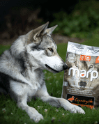 MARP VARIETY COUNTRYSIDE - KAČACIE 2KG - GRANULE PRE PSOV