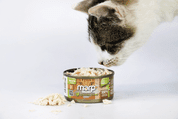 MARP HOLISTIC PLUS KONZERVA PRE MAČKY – KURACIE PRSIA VO VÝVARE 70G - KONZERVY PRE MAČKY