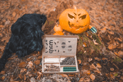 MARP HALLOWEENSKY BOX S MAŠKRTAMI - DARČEKOVÉ POUKAZY